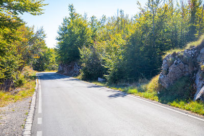 Road amidst trees and plants against sky