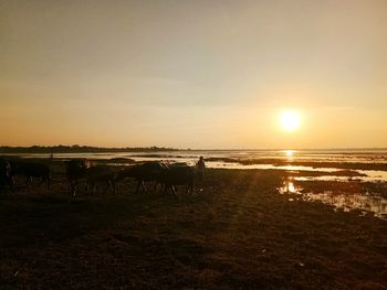 View of beach during sunset