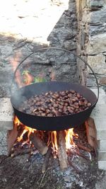 View of bonfire on wooden log
