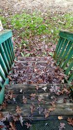 Leaves on steps