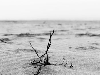 Close-up of sand on beach against sky