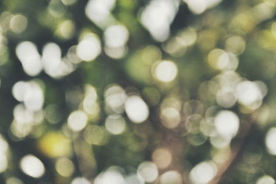 Close-up of defocused lights