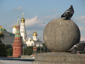 High angle view of seagull on building against sky