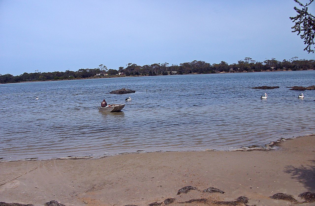 SWAN SWIMMING ON BEACH AGAINST CLEAR SKY