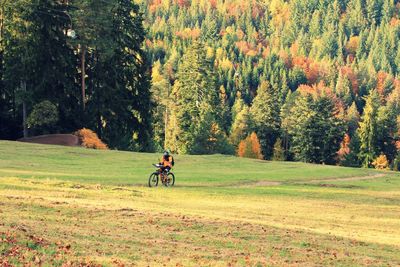 Man riding bicycle on field