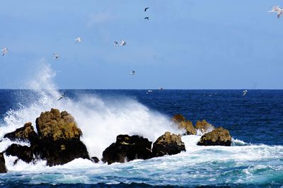 Scenic view of sea against sky