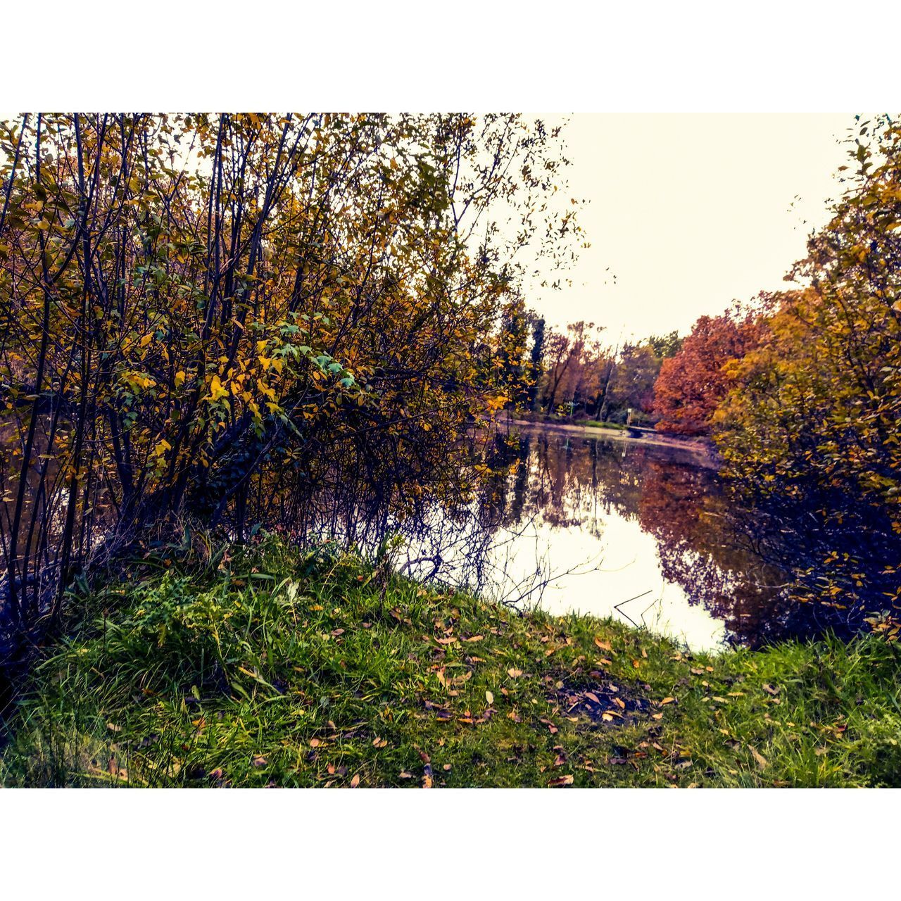 SCENIC VIEW OF LAKE BY TREES AGAINST SKY