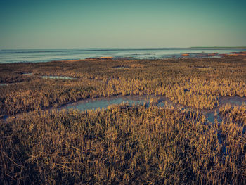 Scenic view of sea against clear sky