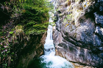 Scenic view of waterfall