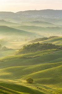 Valley in a rolling landscape with morning fog