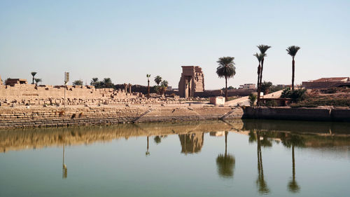 Palm trees by lake against clear sky