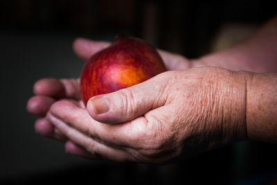 Close-up of hand holding apple