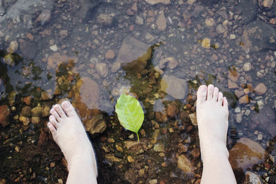 High angle view of legs on water