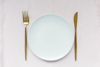 Directly above shot of empty plate on table