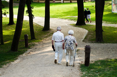 Rear view of people walking in park