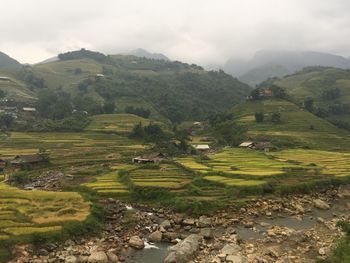 Scenic view of agricultural field against sky