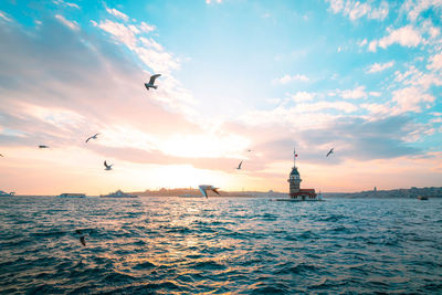 Birds flying over sea against sky