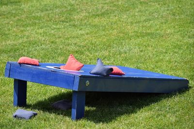 Cornhole on grassy field