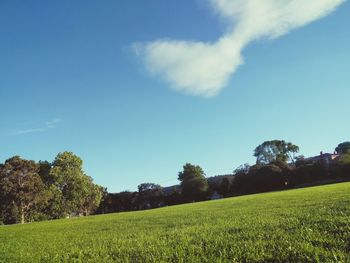 Scenic view of field against blue sky