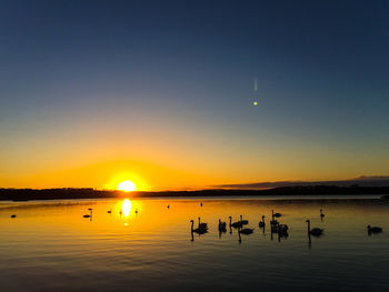 Side view of silhouette birds in calm water