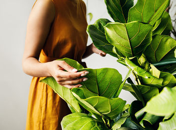 Midsection of woman holding leaves outdoors