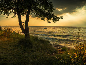 Scenic view of sea against sky during sunset