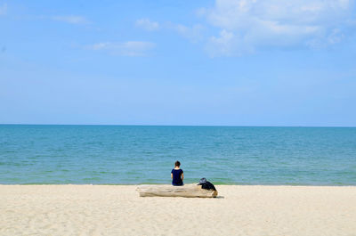 Rear view of woman sitting on wood at sandy beach against blue sky
