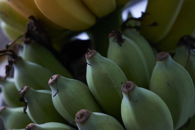 Close-up of bananas