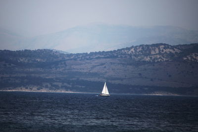 Sailboat sailing on sea against sky