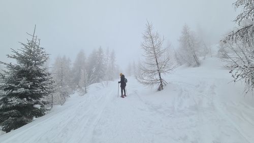 Rear view of person walking on snow covered land