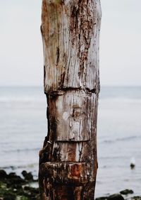 Close-up of wood against sea