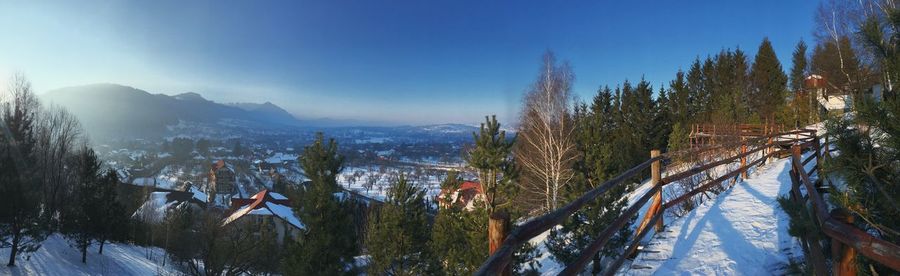 Panoramic view of trees against sky during winter