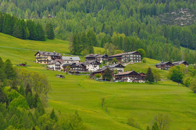 Scenic view of trees and houses in a field