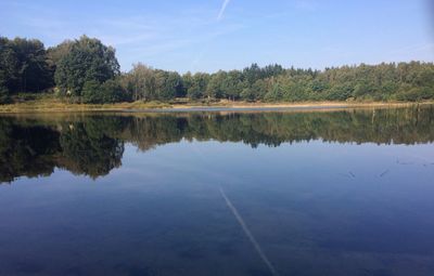 Reflection of trees in calm lake