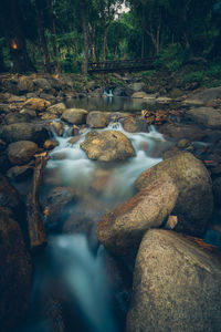 Stream flowing through rocks in forest