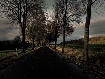 Road amidst bare trees in field