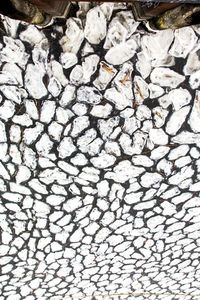 soil