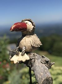 Close-up of bird perching on statue against sky