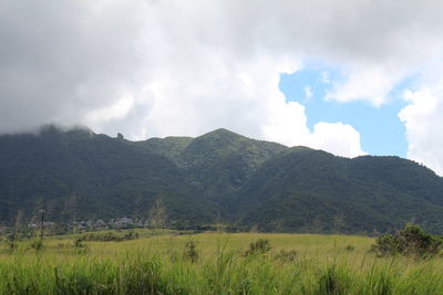 Scenic view of field against sky