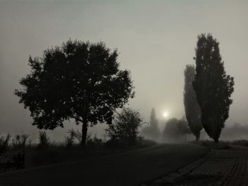 View of trees against clear sky