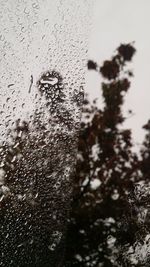 Close-up of wet glass window against sky