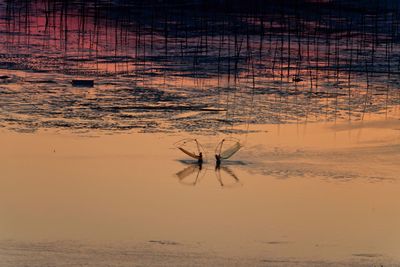 Scenic view of landscape during sunset