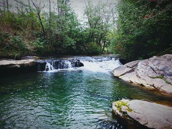 River flowing through forest