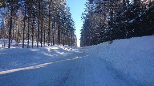 Snow covered road amidst trees against clear sky