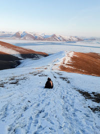 View of horse on snowcapped mountain against sky