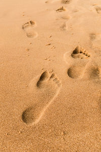Footprints in the sand on long beach in phu quoc island
