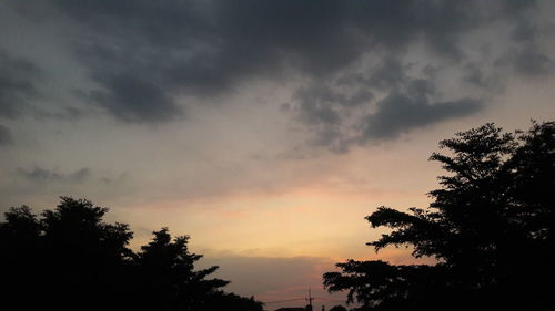 Low angle view of silhouette trees against sky during sunset