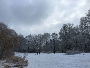 Trees on snow covered field against sky