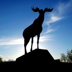Low angle view of blue sky