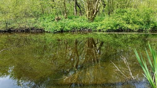 Full frame shot of water